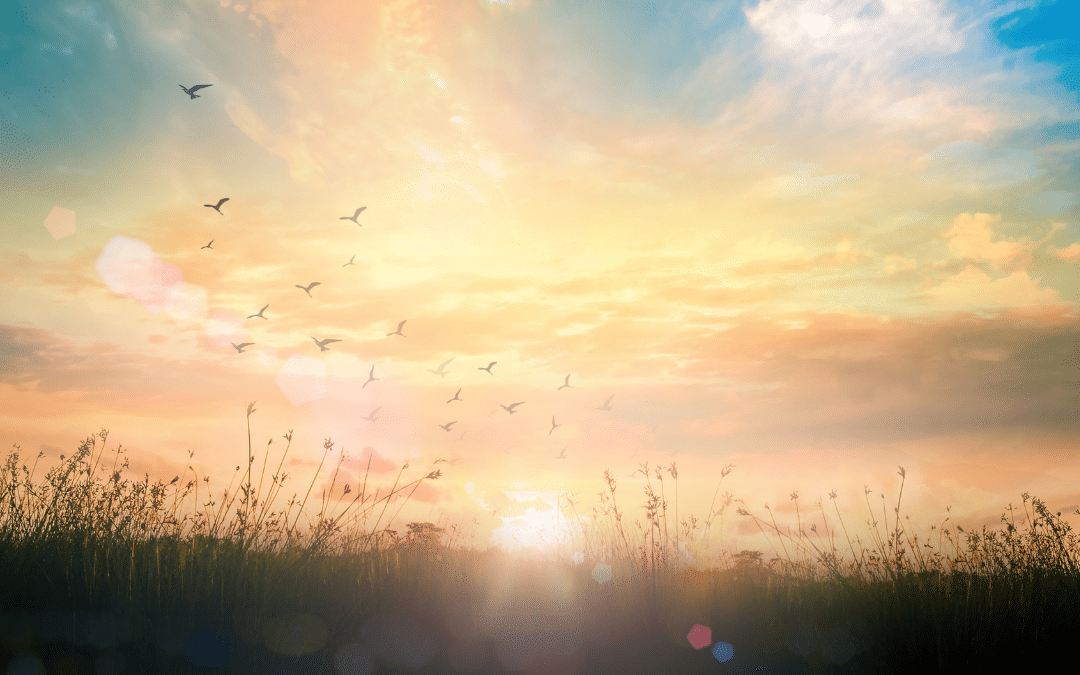 Einstimmung zur Sommersonnenwende 2026