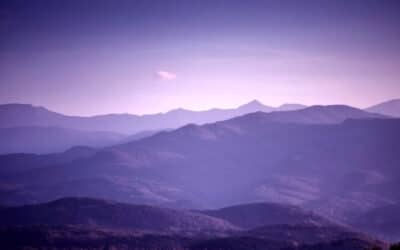 Workshop & Aufstellung zur natürlichen Weiblichkeit