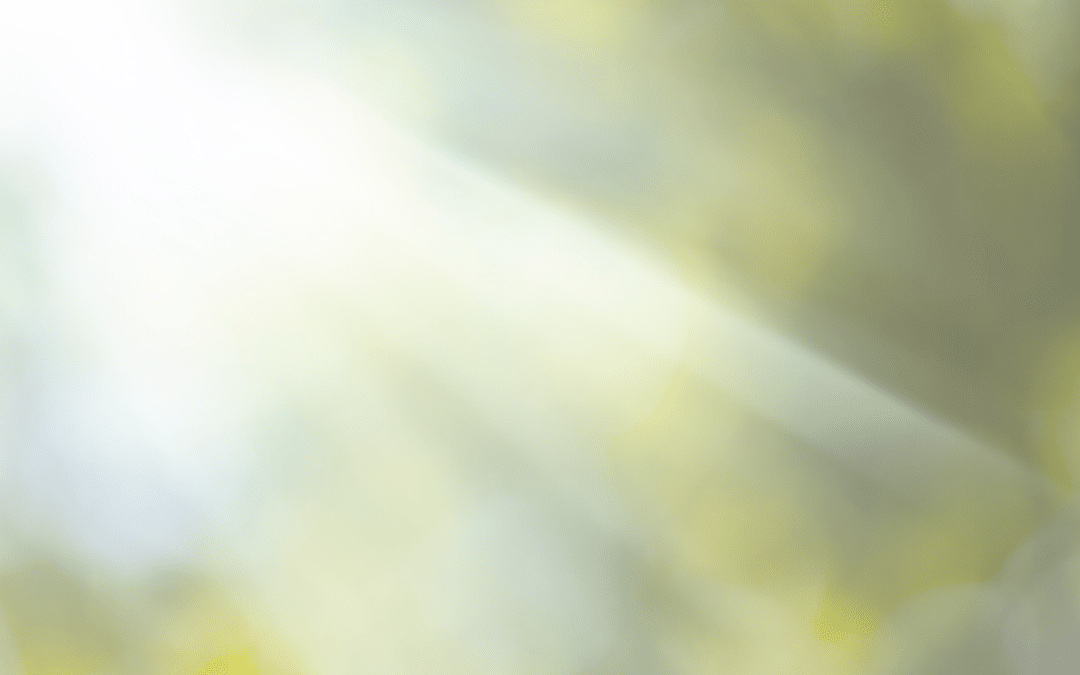 Picknick zur Sommersonnenwende